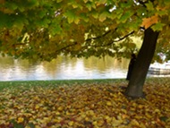 urbahnhafen-1